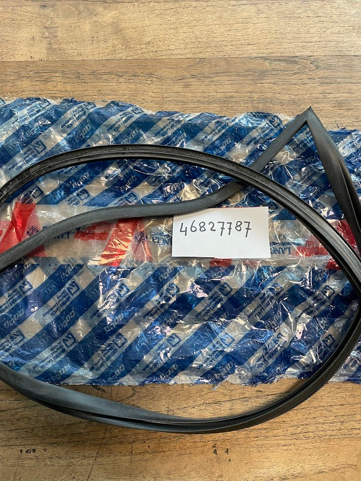 46827787 Fiat Multipla Tür + Fenstergummi L/V