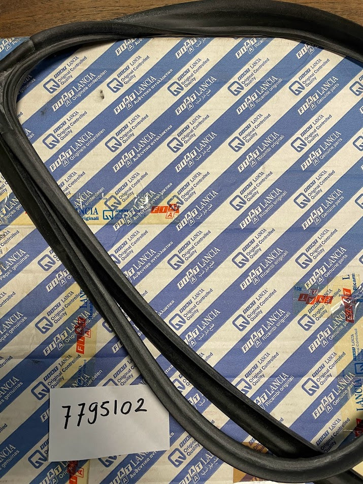 7795102 Lancia Kappa door seal LF