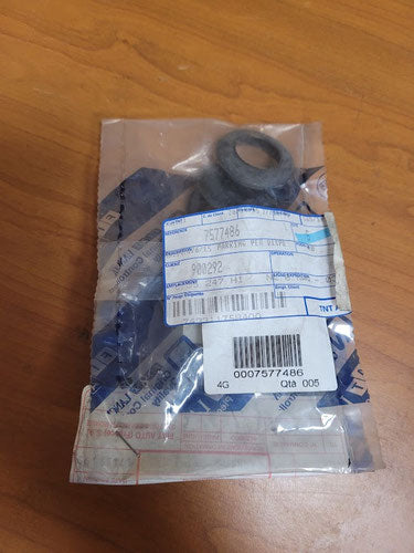 7577486 Lancia Y10 pakking deur achterzijde